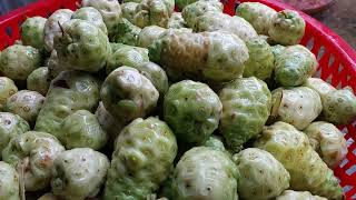 Bị bướu cố uống ngay trái này