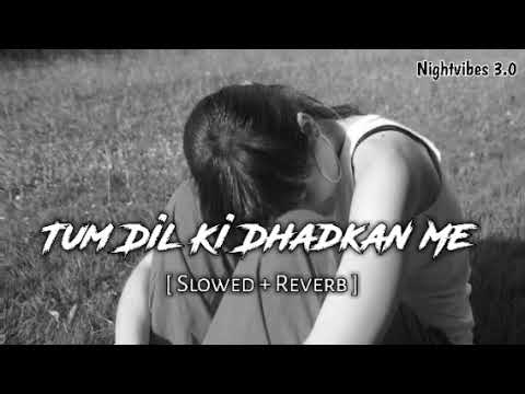 Tum_Dil_Ki_Dhadkan_Me!(Slowed reverb) | Dhadkan | Akshay Kumar | Suneel Shetty| Nightvibes 3.0 #lofi