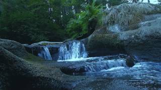 &quot;Heart&quot; - Sleeping At Last (Micro Music Video)