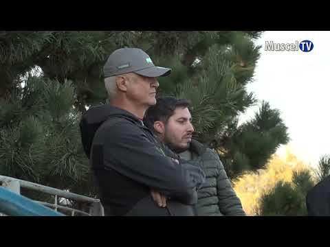 Jurnal MUSCEL TV 07.11.2022 SPORT – fotbal – Muscelul Câmpulung – Flacăra Moreni