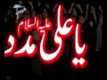 Buss Ya ALI Madad A S Tittle Flv Faheem Haider 2010 New Noha