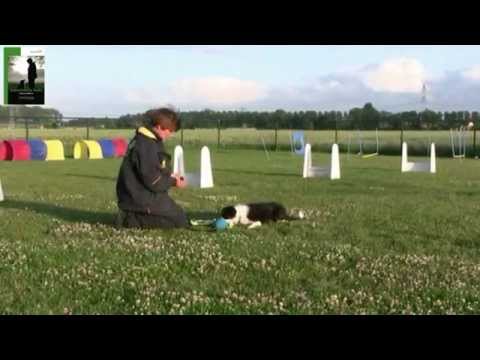 Variatie op Jonne's 'Rennen/roepen' oefening met afleiding