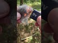 COOL TIP 🔥 9V BATTERY VS WIRE WOOL 🔥 #shorts #cool #tips