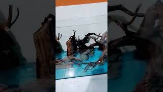 Download lagu part2 tema kayu rentek mp3