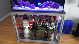 How to save your aquarium from a disaster