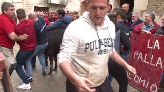 fiestas de mayo 2018 Luna peña el manicomio