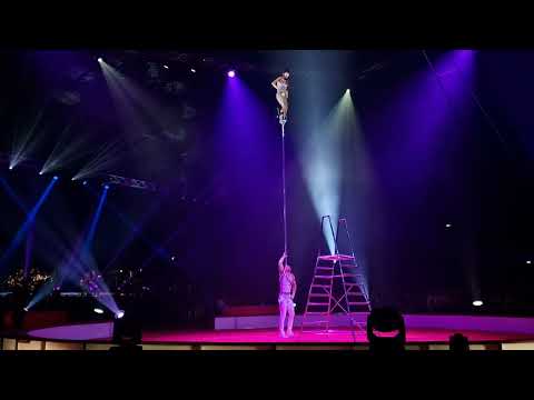 The International Artist Agency  - Duo Soma - Festival Grenoble 