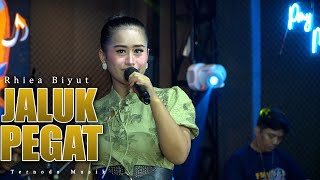 Download lagu JALUK PEGAT - RHIEA BIYUT ( Live Music) mp3