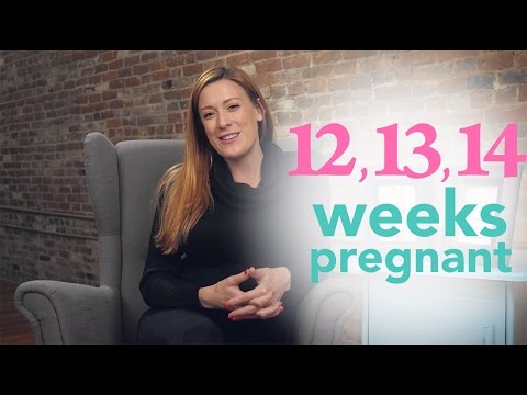 12, 13, 14 Weeks Pregnant - Ovia Pregnancy