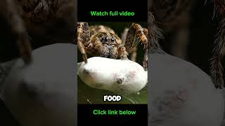 Download lagu Watch full video link below mp3