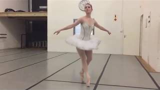 Dance of the Sugar Plum Fairy