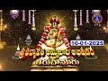 Sri Padmavathi Ammavari Abhishekam Tiruchanoor Vaikunta Ekadasi Special 10 01 2025 SVBC TTD