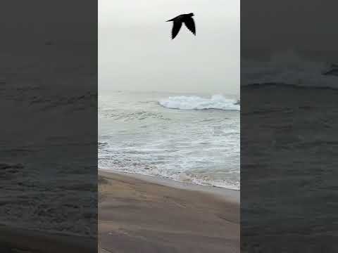 #vizag #beach #waves #beautiful #beachvibes #thailand #usa#ocean#travel#naturelovers