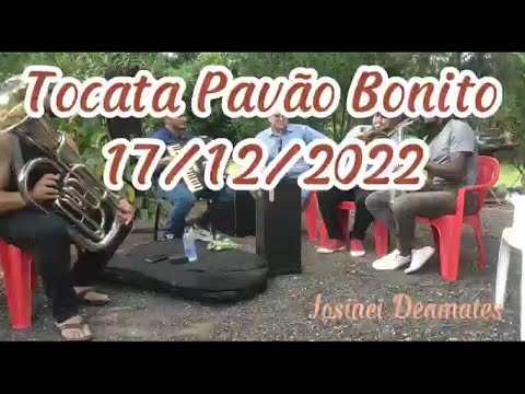 Tocata Pavão Bonito - 17/12/2022 101 H5