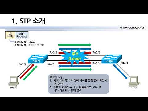 「이더넷 [ethernet]」의 한국수어 표현