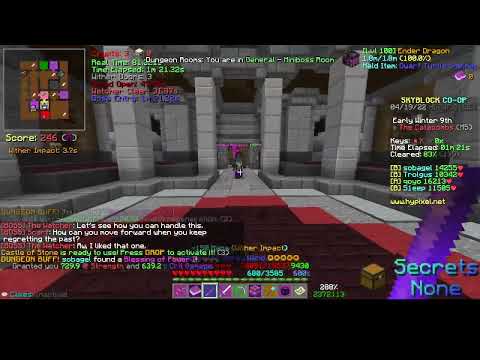 Hypixel Skyblock 9* Nerf N-Strike Blazin' Bow damage test as tank on m5 shadow assassin
