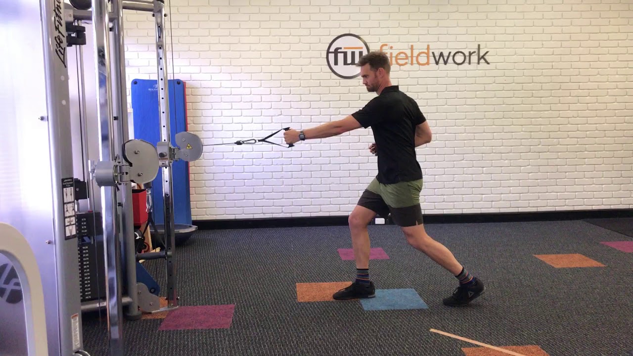 1 Arm Standing Cable Row with Rotation