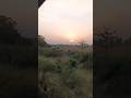 Pardesi Village Train Music Bollywoodsong Viral Trending Ytshorts 2024 ️ ️