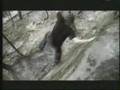 Medeski Martin and Wood Off the Table - t0em0ss Medeski Martin and Wood Off the Table