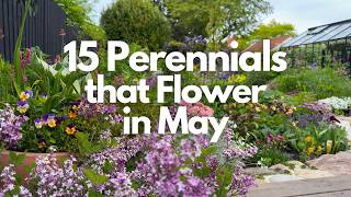 15 Perennials That Flower in May | Cottage Garden Plants | Perennial Garden