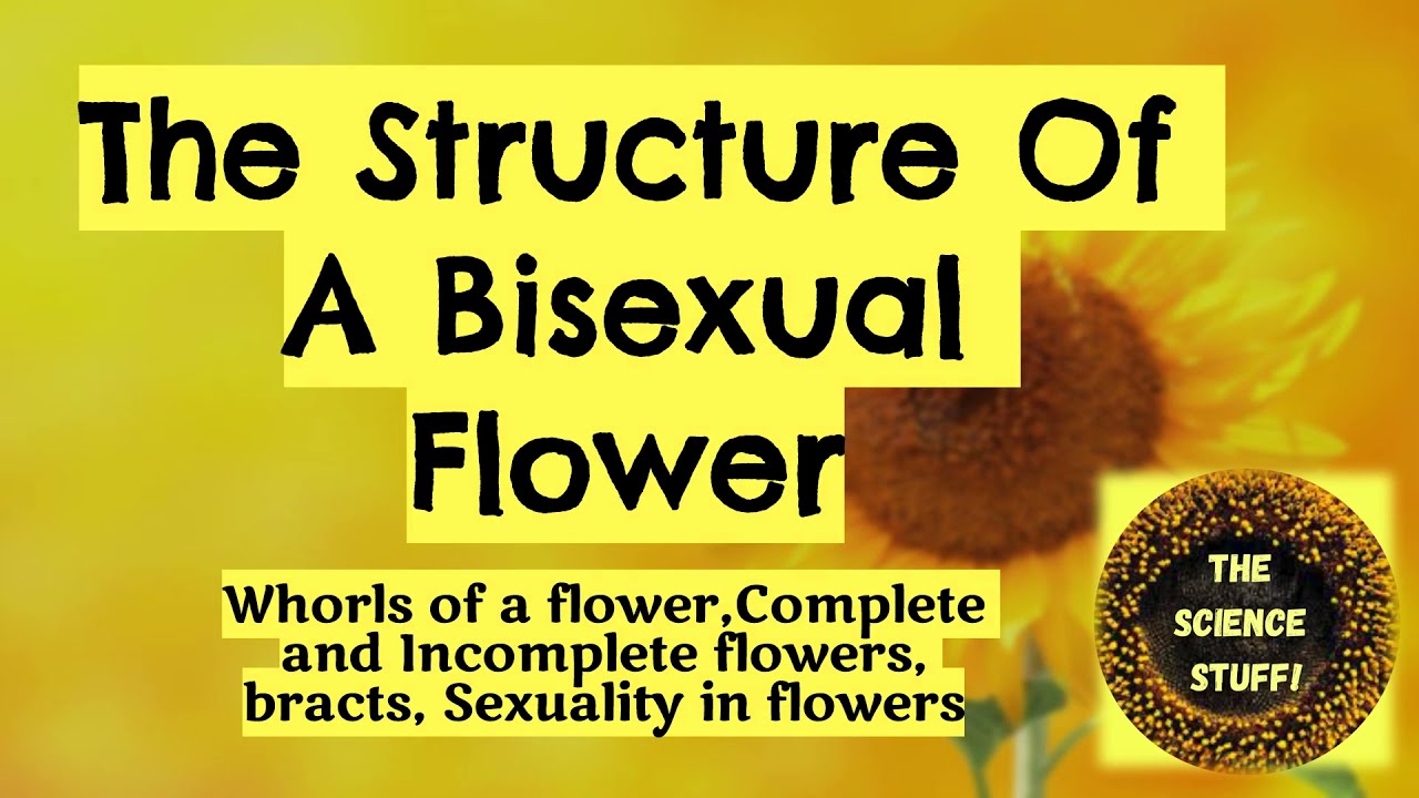 The Structure Of A Bisexual Flower | The Flower | Class 9 | English |