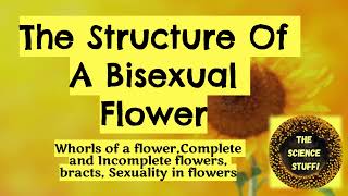 The Structure Of A Bisexual Flower | The Flower | Class 9 | English |