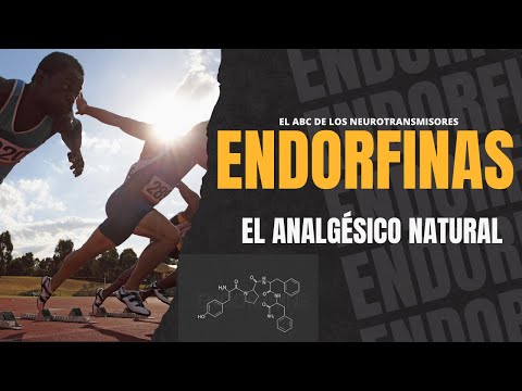 El ABC de los Neurotransmisores: Endorfinas: Placer y Alivio del Dolor | Impulso Neural