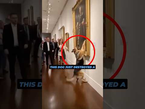 This dog destroyed a $200,000 painting...