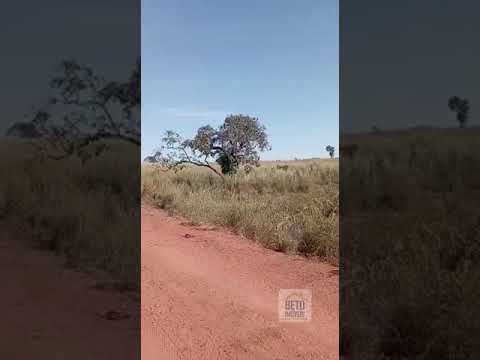 A fazenda em Sandolândia TO com 4229 Alqueires