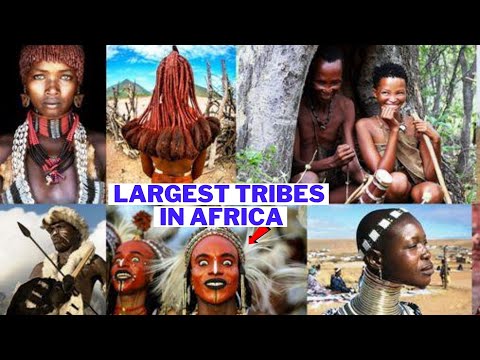 Top 10 Largest Tribes In Africa