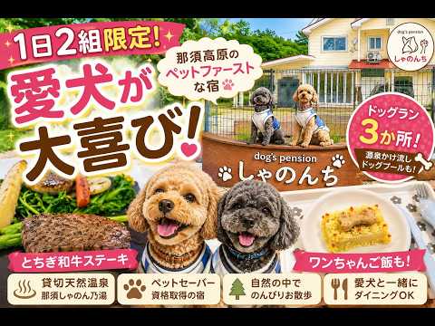 【犬と泊まれる宿】那須高原「しゃのんち」で過ごす癒しの時間｜愛犬たちが笑顔になった休日