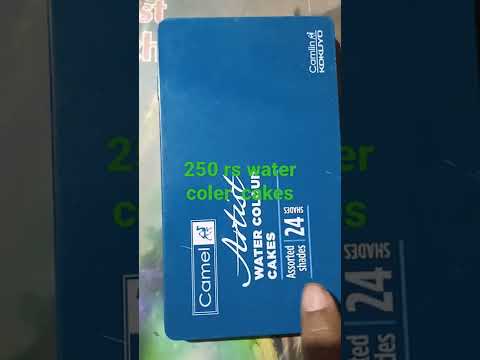 Camlin artist water cake colour 24 sheed