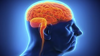 ¿Qué ocurre en el cerebro de un adicto
