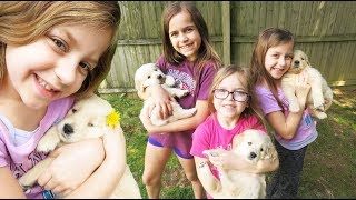 Adorable Puppies Play Outside with 6 Kids! | Crazy8Family