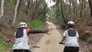 preview picture of video 'Murray To Mountains Rail Trail - Fun on the Beechworth Climb Oct 2009_0001.wmv'