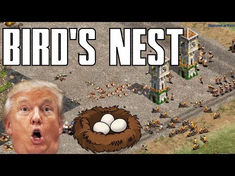 King Of The Hill on Bird's Nest! [FFA]