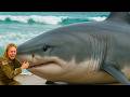 20 Times When Animals Reunited With Owners After Years Make You Cry in a Special Way #3 DEFAULT Thumbnail