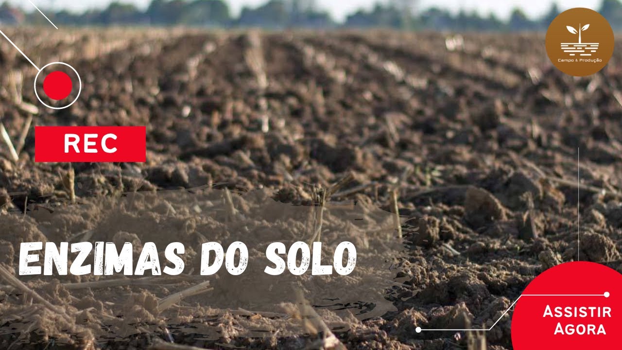 ENZIMAS | Bioindicadores de qualidade biológica do solo!