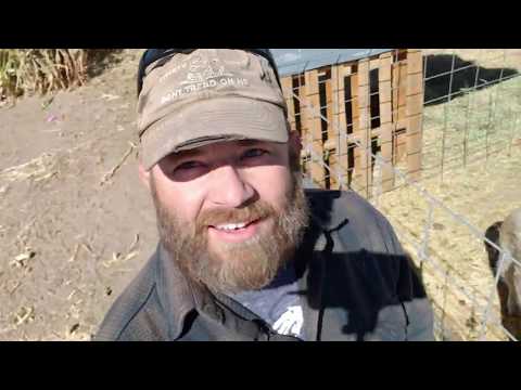 YouTube video about Wrapping Up Our Consideration of Vesting