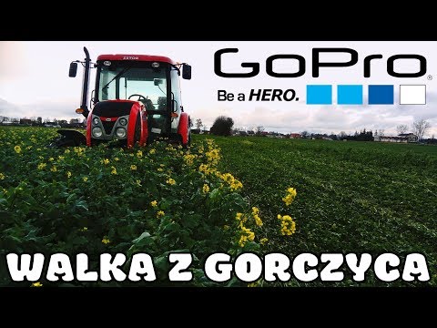 Marc Anthony kupić produkty do włosów Włosów spada mężczyzna 24