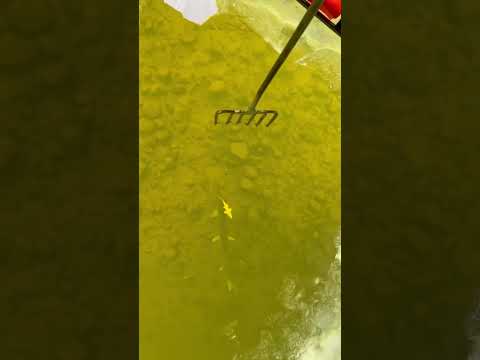 SPEARING Northern Pike!!#short #icefishing