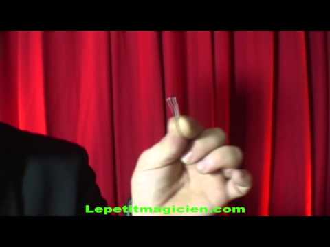 Voir la vidéo Quo Vadis