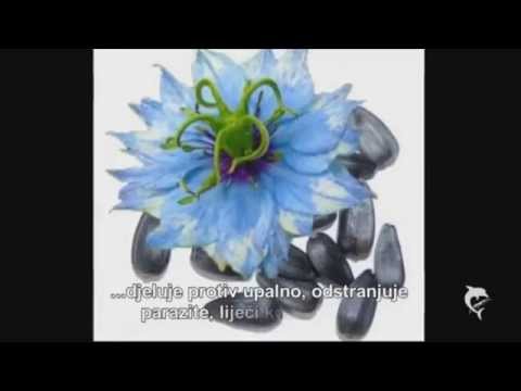 Corokot  Dr Gabriel's Health Secrets