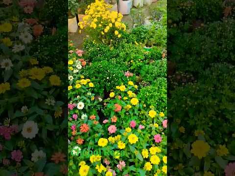 #viralvideo #hashtags.....