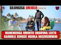 UMUNTU WAMI UNGIFUNA LENTO KAKHULUSENGIZE NGEHLA NASEMZIMBENI SILUNGISA UMJOLO EP 248