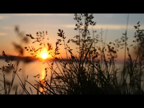 Translogic Sessions Vol. 45 | Melodic & Tropical