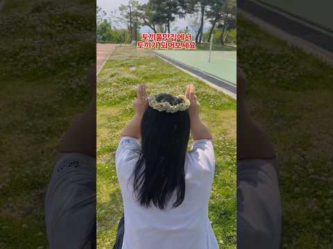 푸르름 가득한 이곳은? 좌학근린공원 #고령군sns기자단 허은정