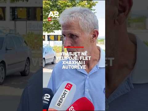 Vrasjet në Velipojë, flet xhaxhai i autorëve