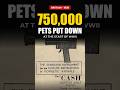 Why the government told everyone to kill their pets #history #shocking