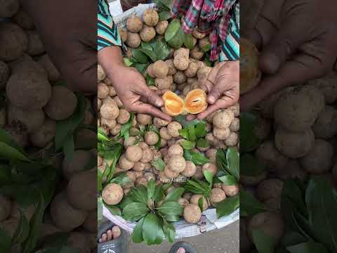 Most Sweetest Fruit of Bangladesh | Sobeda Fol | Safeda Fruit #shorts